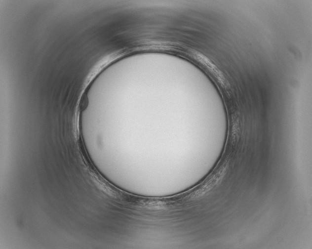 X0000115761370200912041401