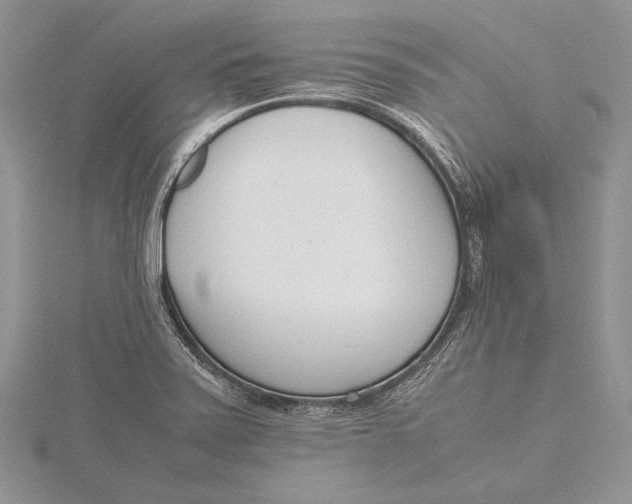 X0000115761371200912041401