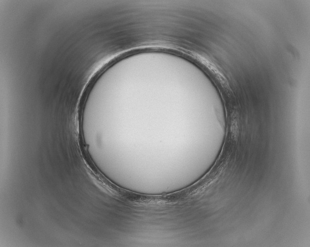 X0000115761372200912041401