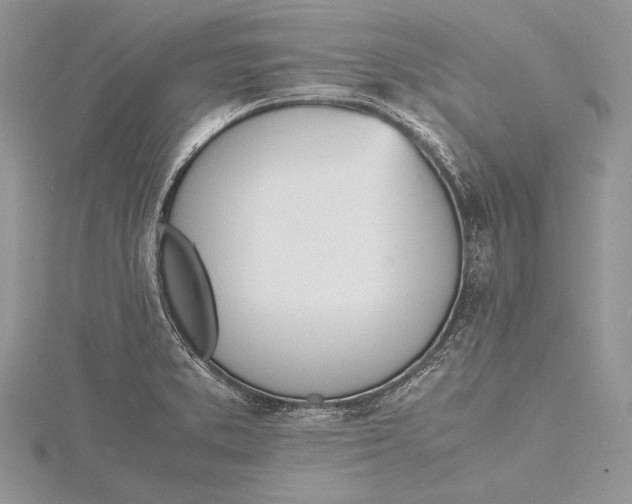 X0000115761373200912041401