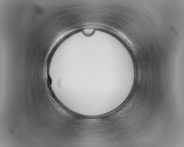 X0000115761376200912041401