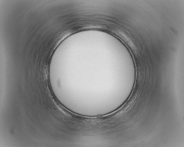 X0000115761377200912041401