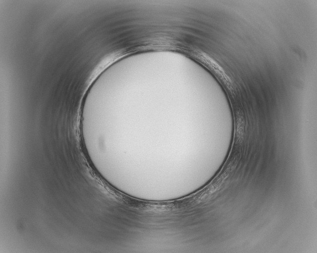 X0000115761378200912041401