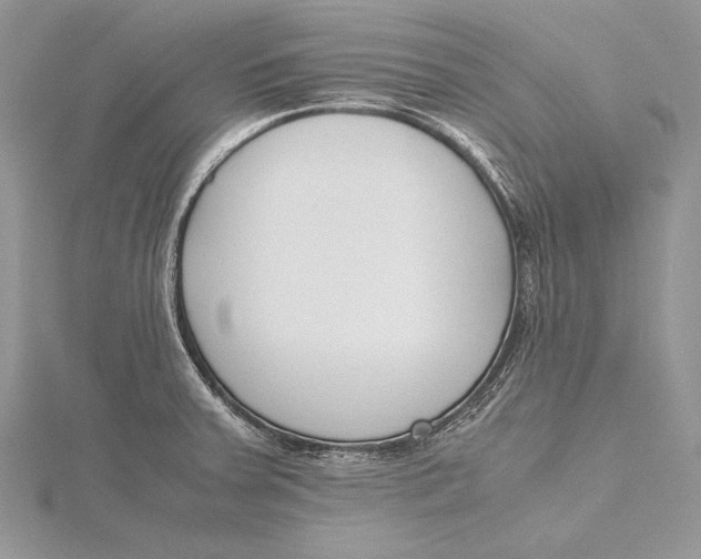 X0000115761379200912041401