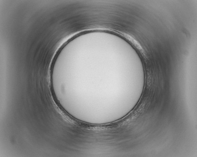 X0000115761380200912041401