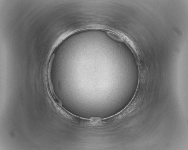 X0000115761381200912041401