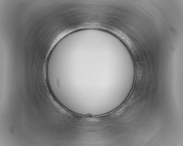 X0000115761382200912041401