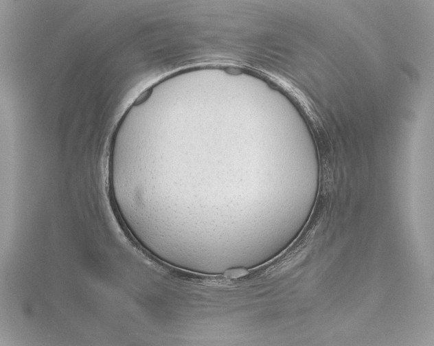 X0000115761383200912041401