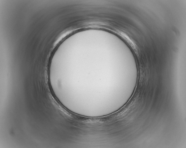 X0000115761384200912041401