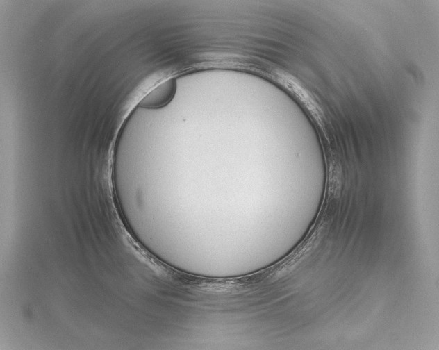 X0000115761386200912041401