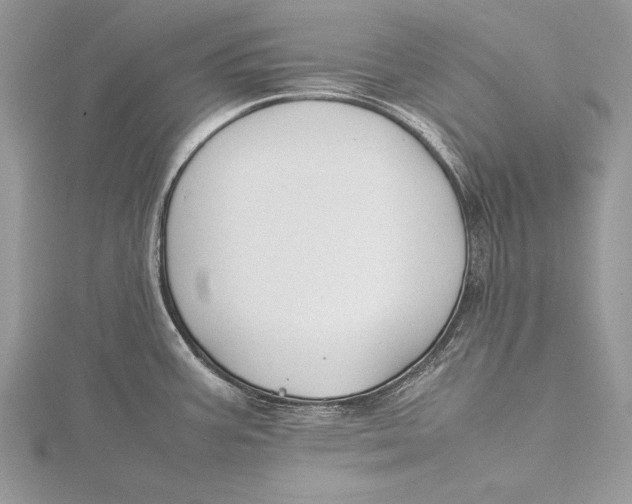 X0000115761387200912041401