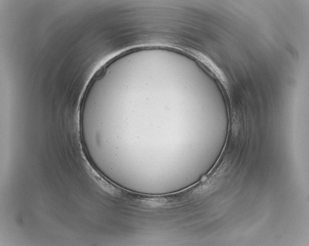 X0000115761388200912041401