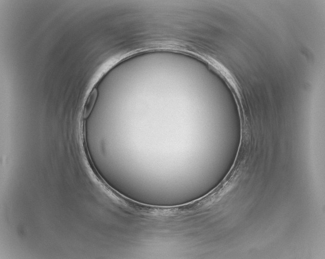 X0000115761389200912041401