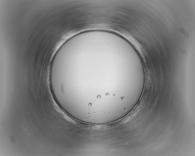 X0000115761390200912041401