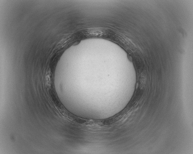 X0000115761394200912041400