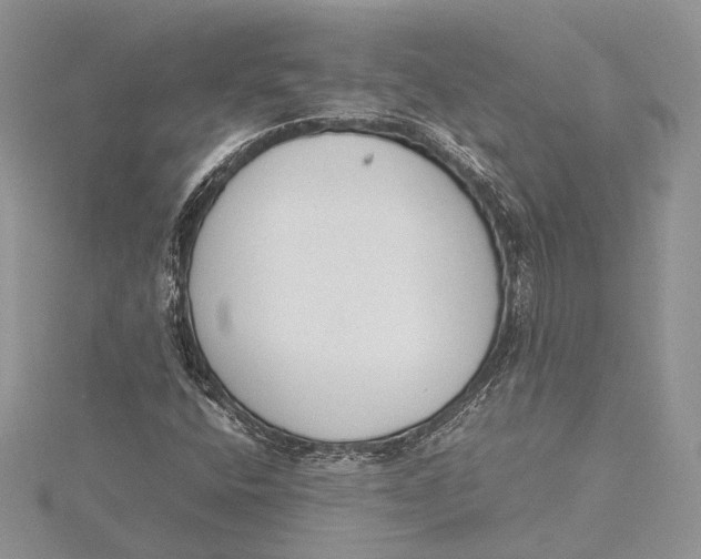 X0000115761400200912041400