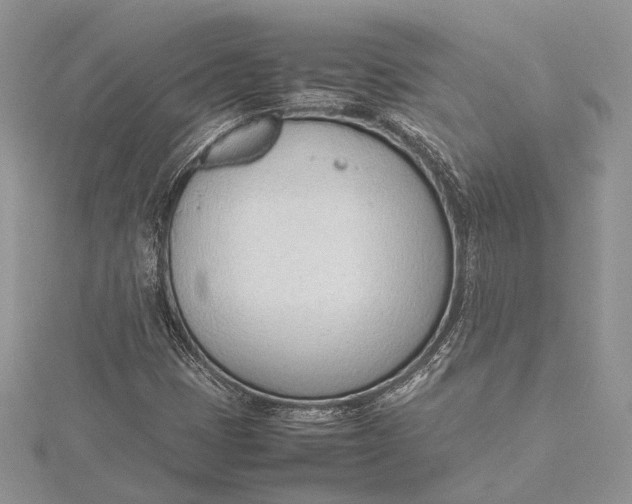 X0000115761401200912041400