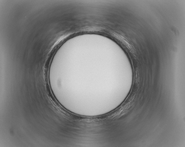 X0000115761404200912041401