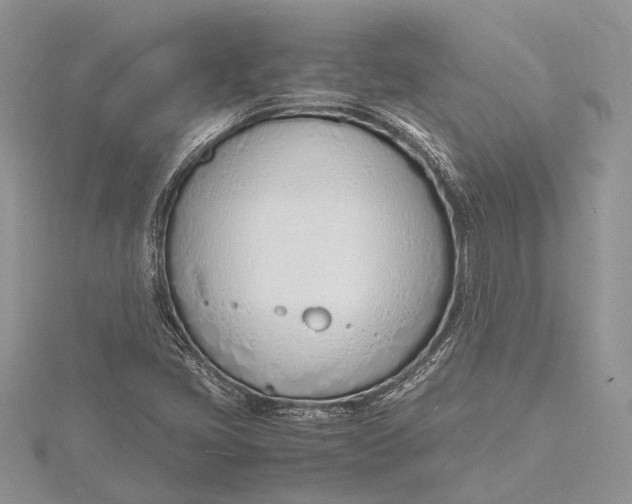 X0000115761405200912041401