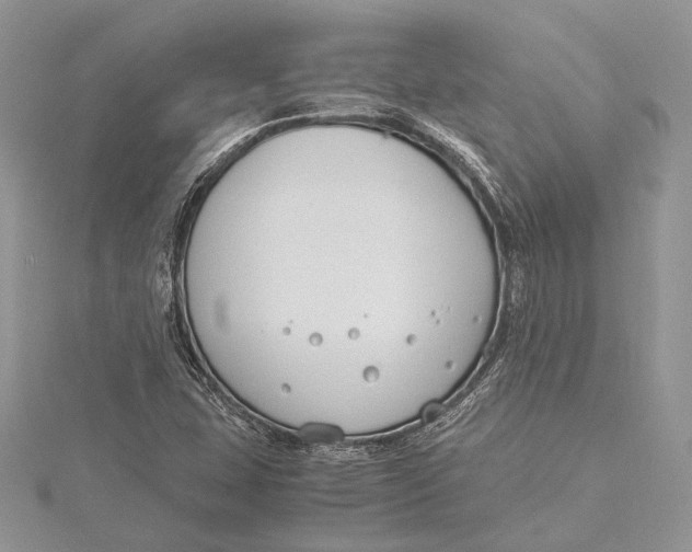 X0000115761407200912041401