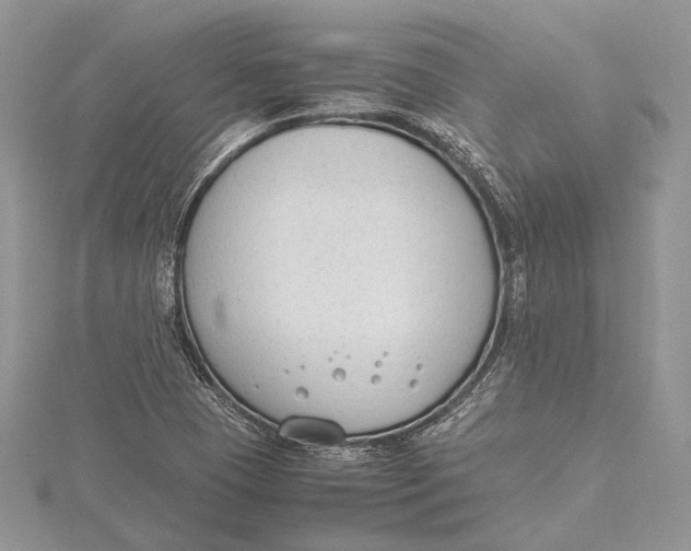 X0000115761409200912041401