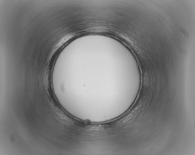 X0000115761410200912041401