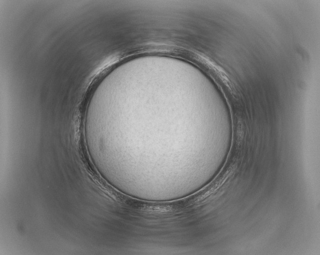 X0000115761411200912041401