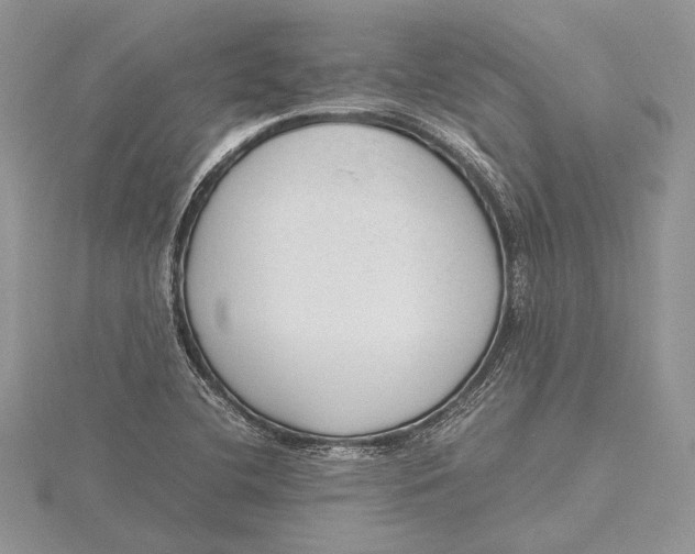 X0000115761412200912041401