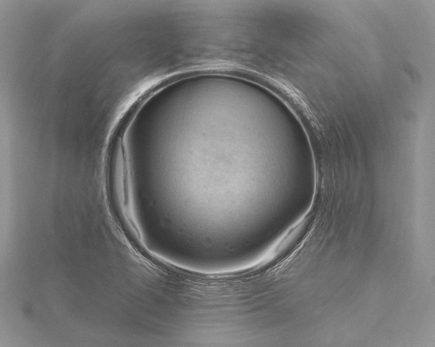 X0000115761414200912041401