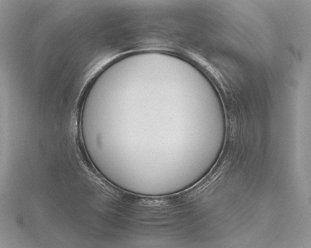 X0000115761415200912041401