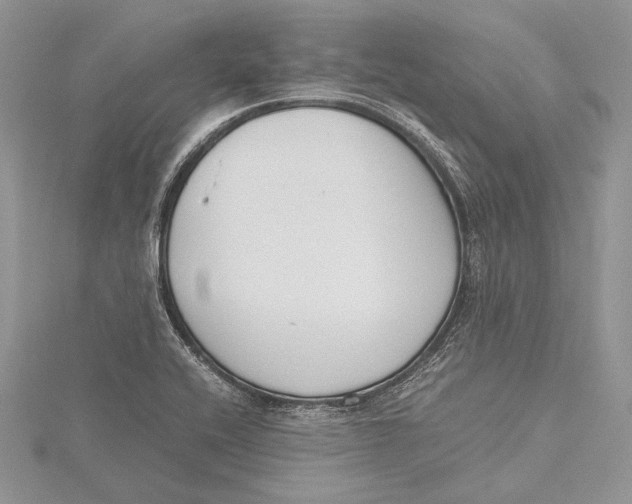 X0000115761416200912041401