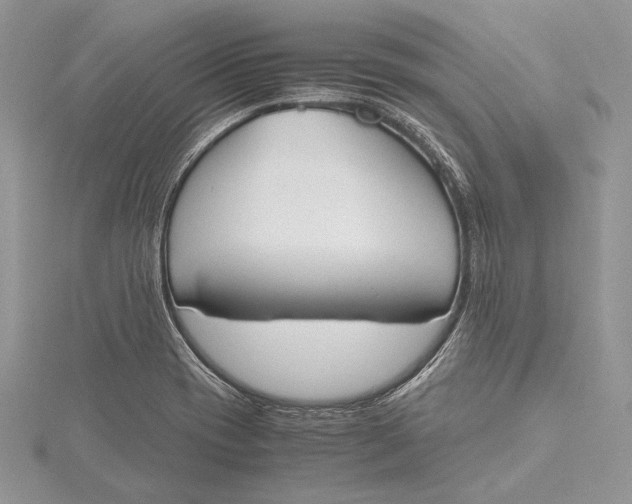 X0000115761417200912041401