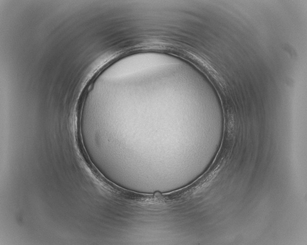 X0000115761418200912041401