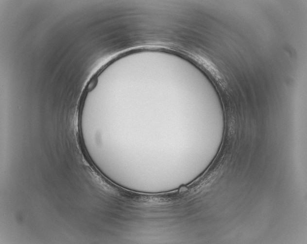 X0000115761420200912041401