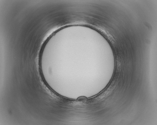 X0000115761422200912041401