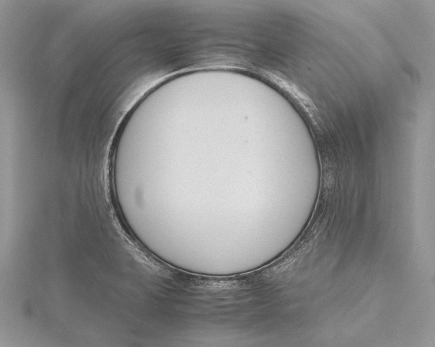 X0000115761423200912041401