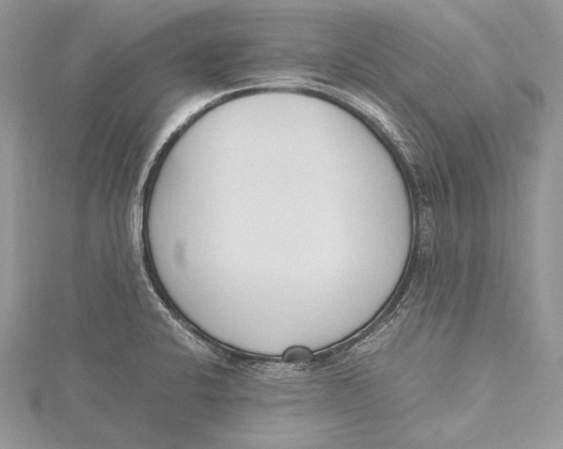 X0000115761424200912041401