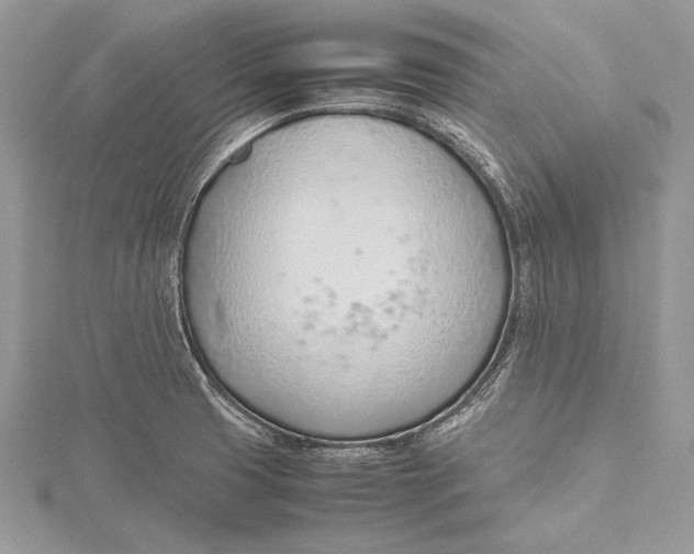 X0000115761425200912041401