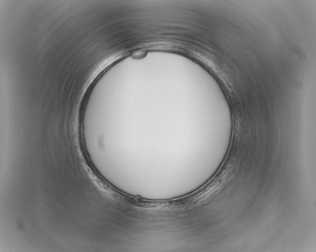 X0000115761426200912041401