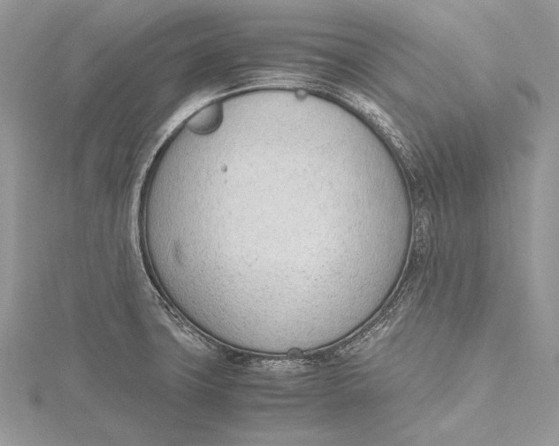 X0000115761427200912041401