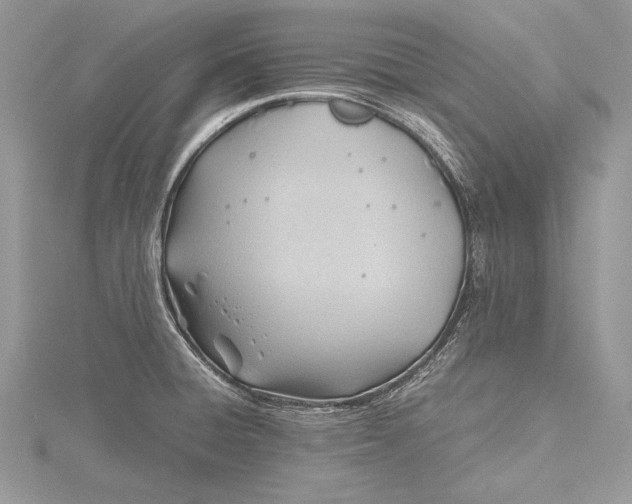 X0000115761428200912041401