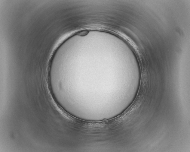 X0000115761429200912041401