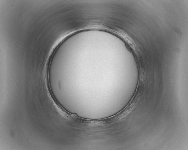 X0000115761430200912041401