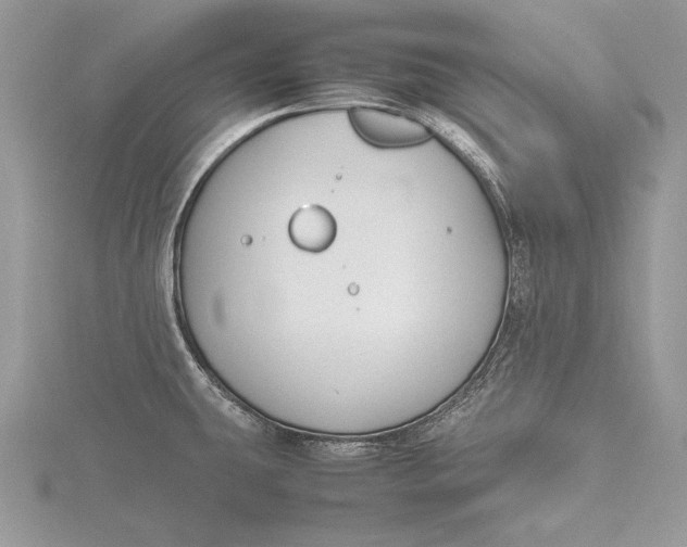 X0000115761431200912041401