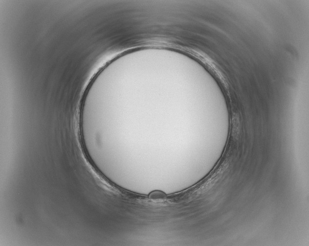 X0000115761432200912041401