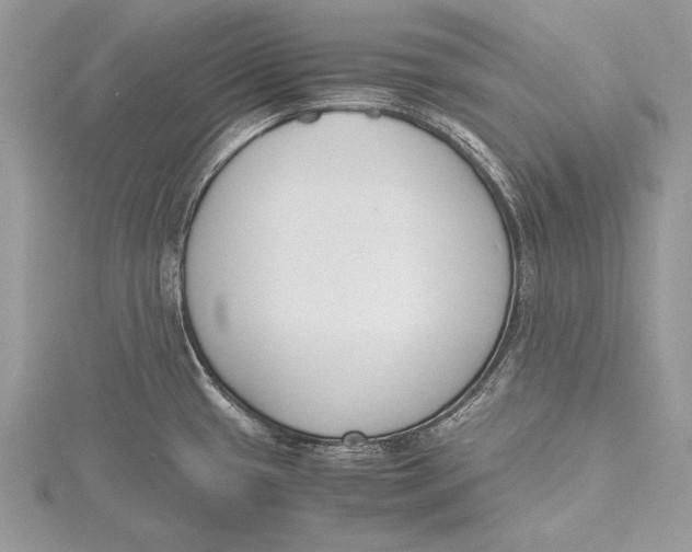 X0000115761433200912041401