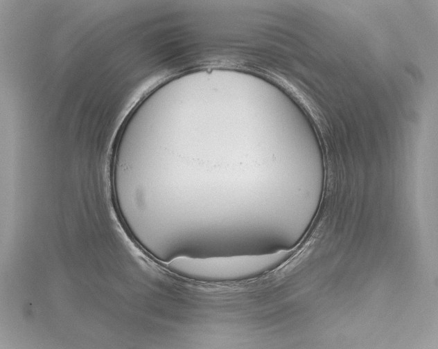 X0000115761434200912041401