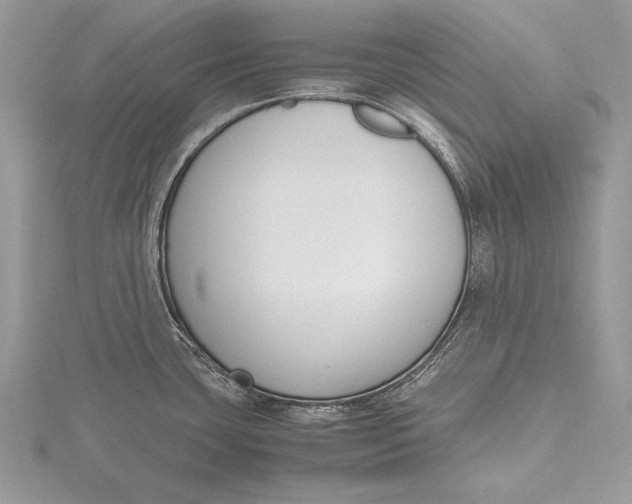 X0000115761435200912041401