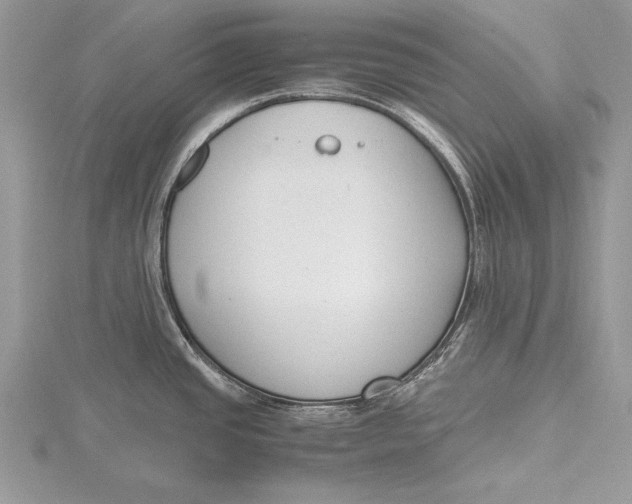 X0000115761437200912041401