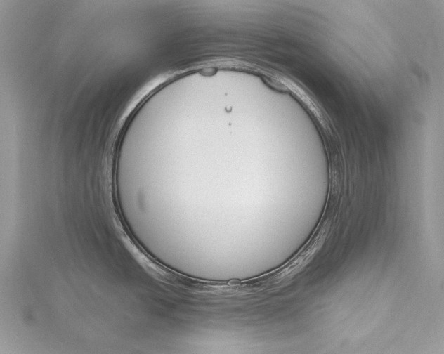 X0000115761438200912041401